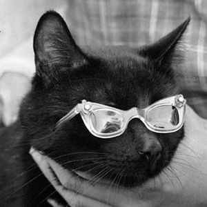 Meet your Posher, Ines